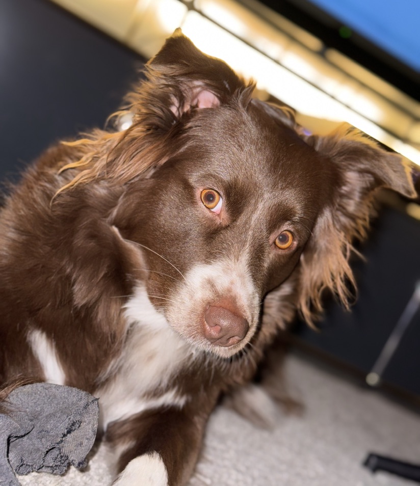 placeholder image-sq