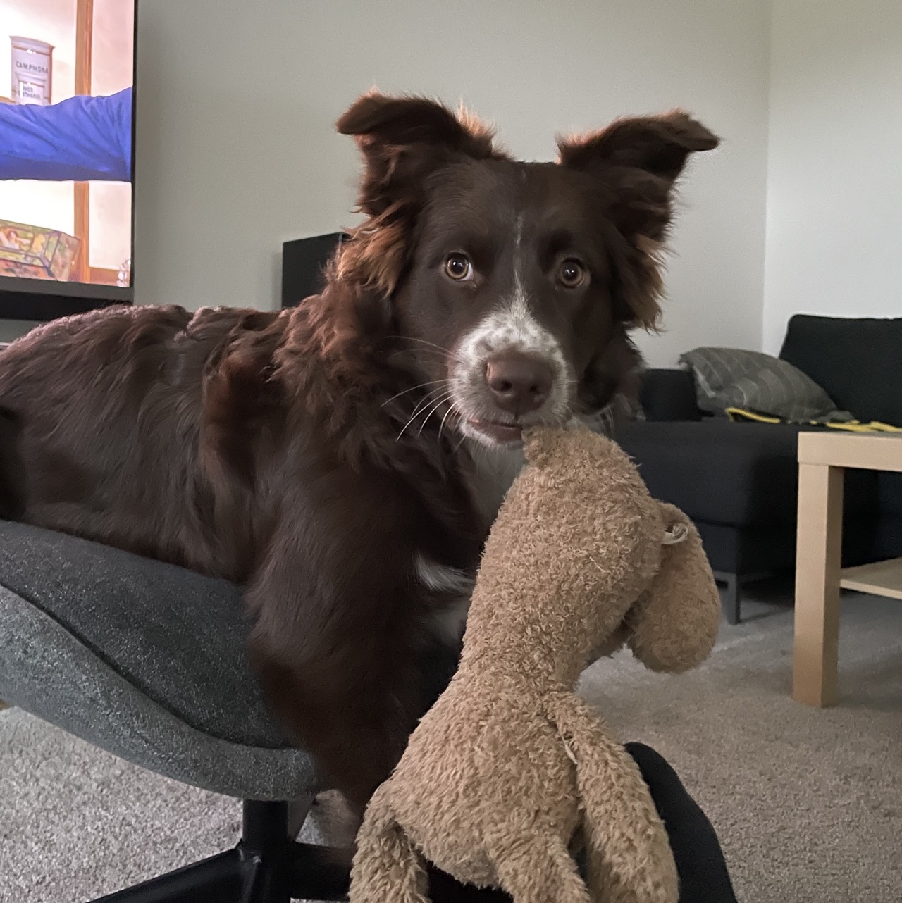 placeholder image-sq