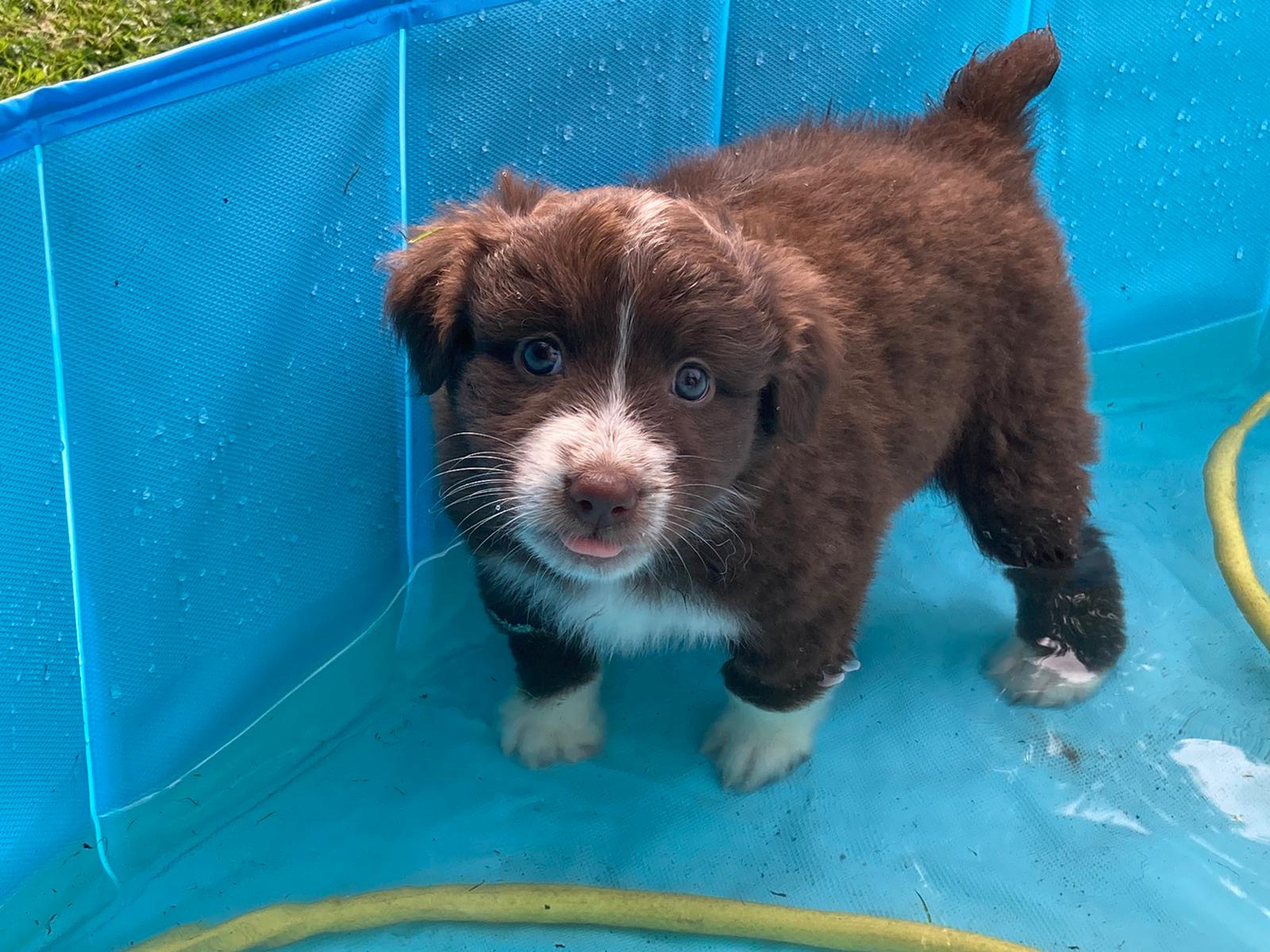 placeholder image-sq