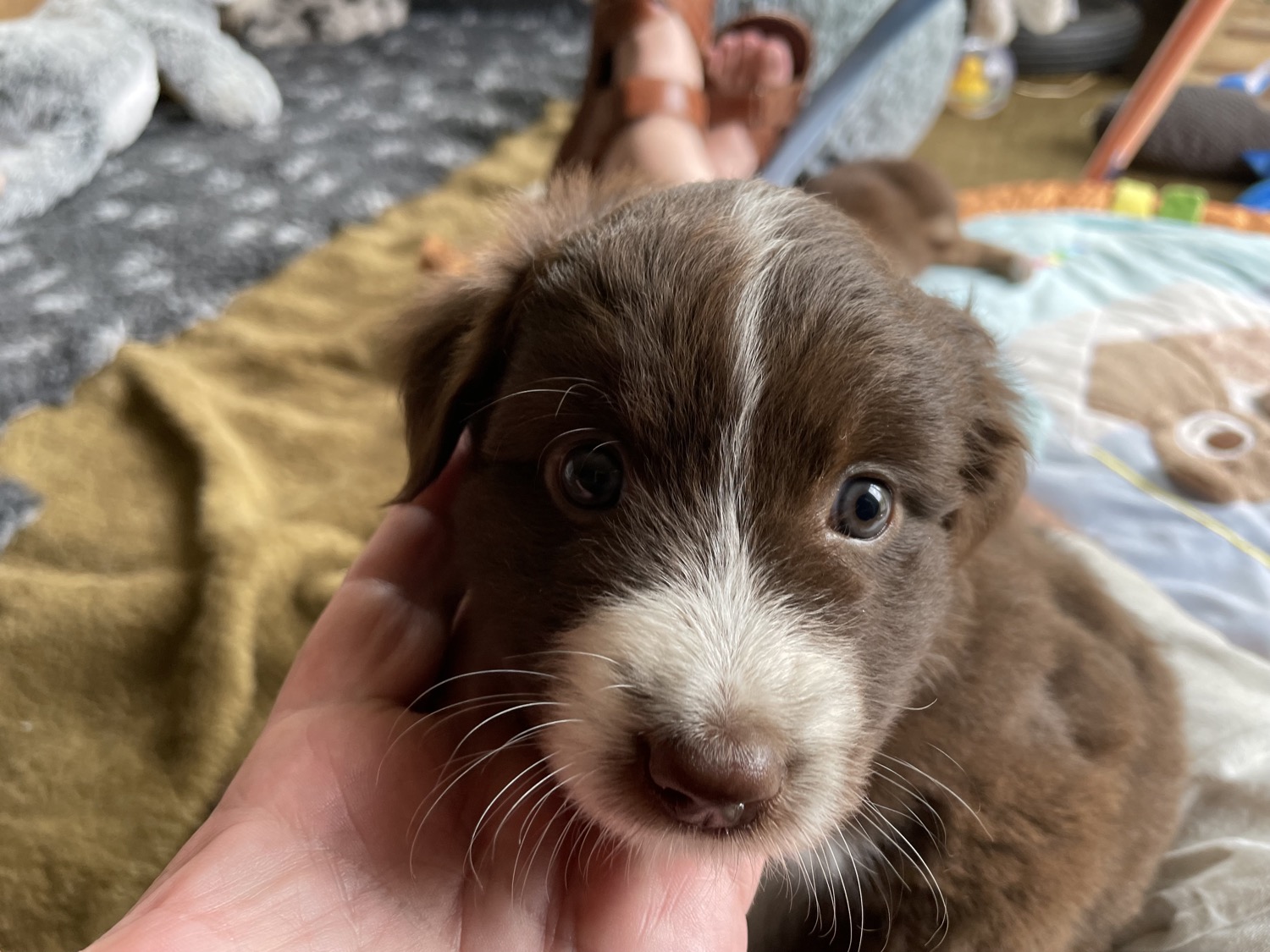 placeholder image-sq