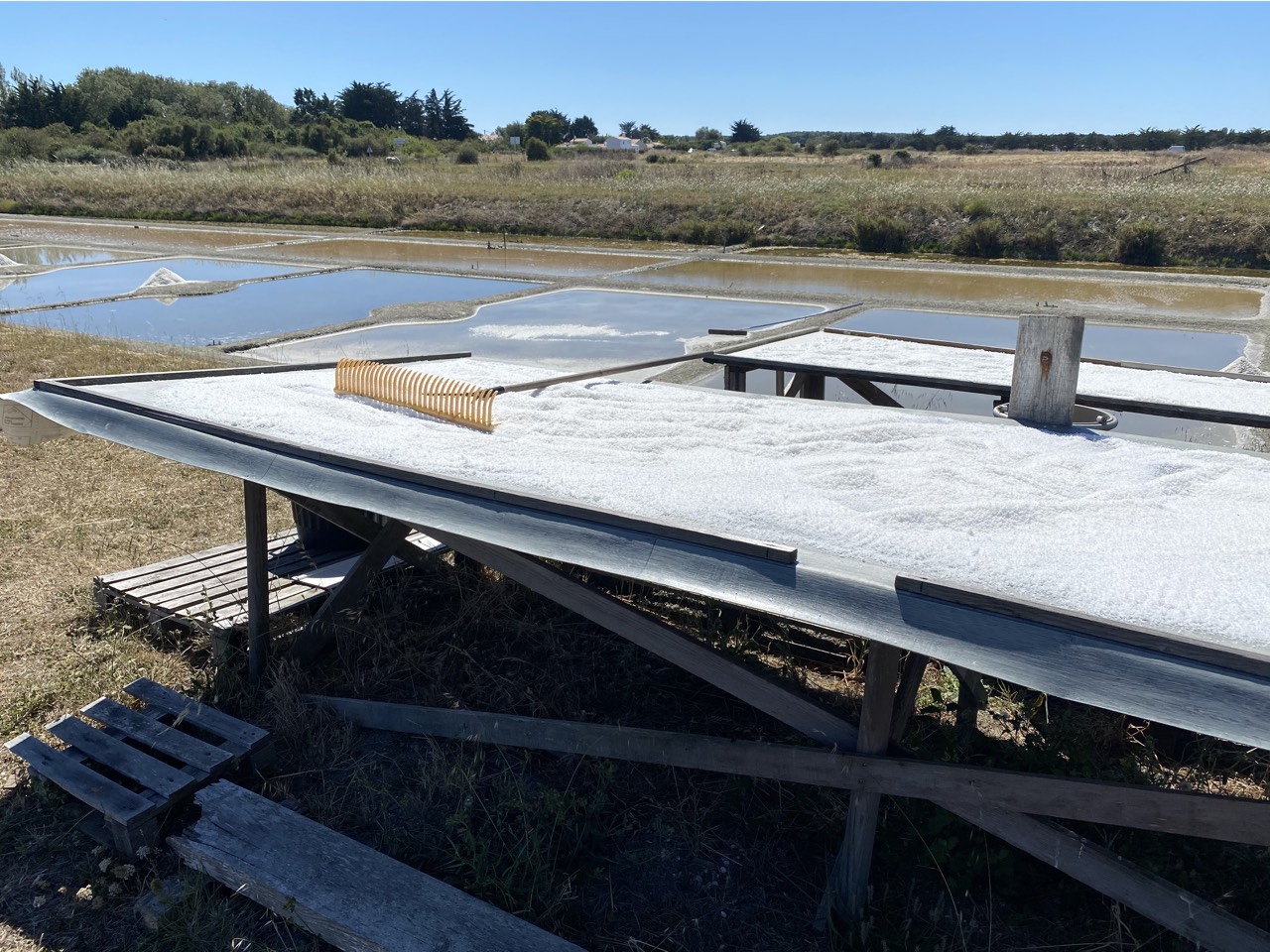 placeholder image-sq