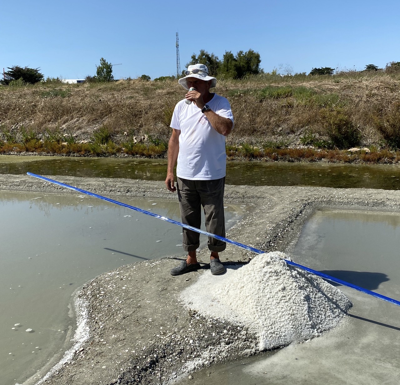 placeholder image-sq