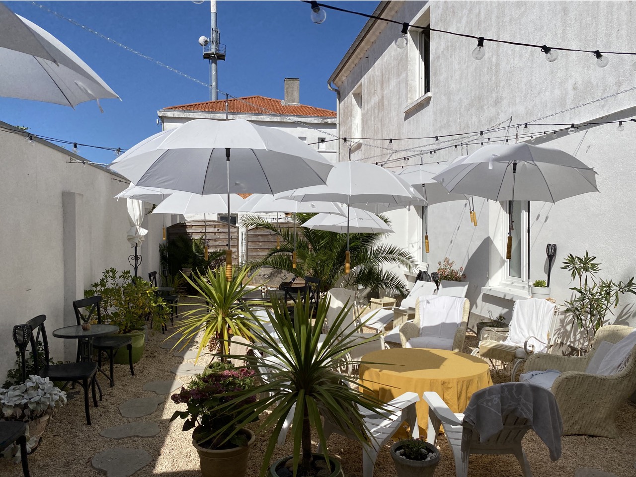 placeholder image-sq