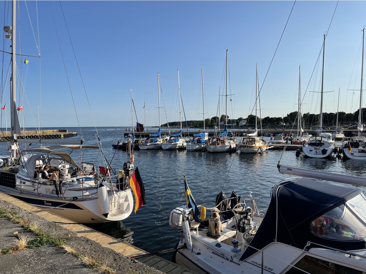 placeholder image-sq