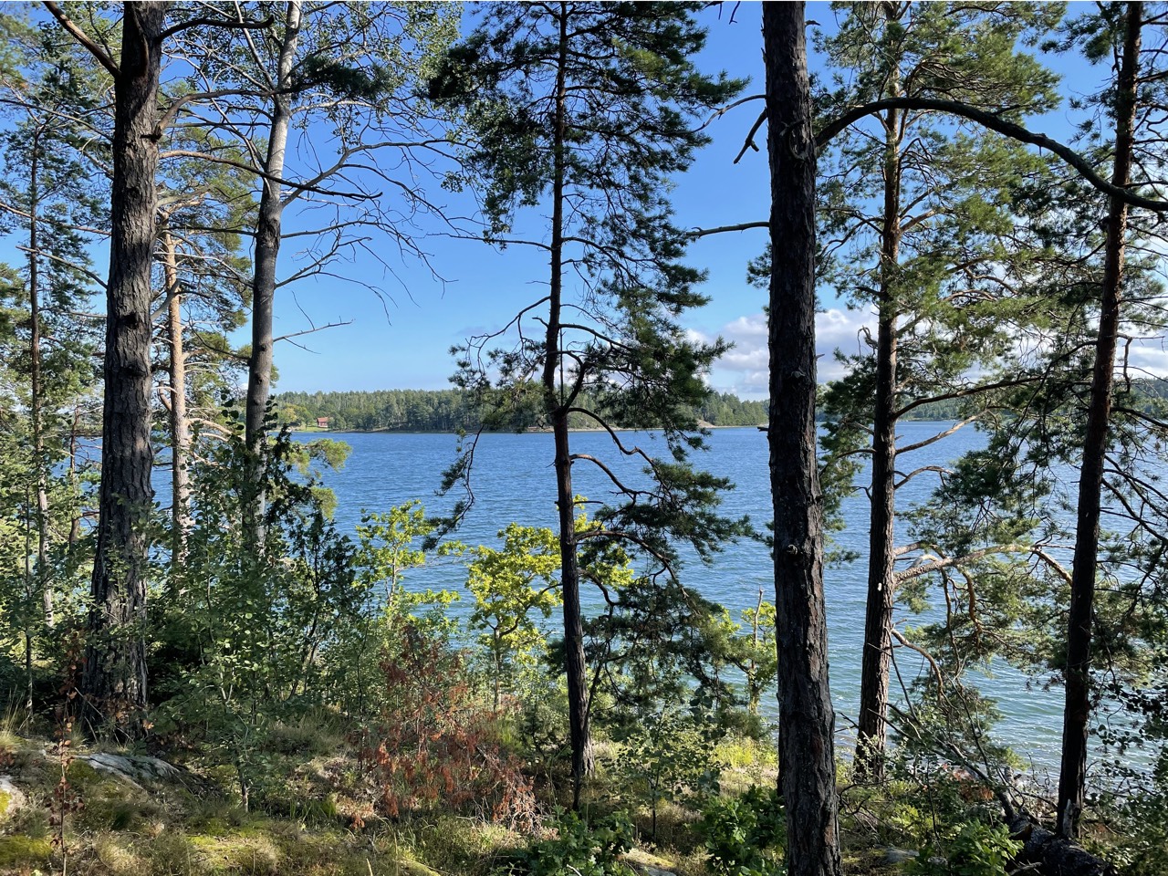 placeholder image-sq